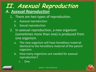 II. Asexual ReproductionAsexual ReproductionThere are two types of reproduction. Asexual reproductionSexual reproductionIn asexual reproduction, a new organism (sometimes more than one) is produced from one organism. The new organism will have hereditary material identical to the hereditary material of the parent organism. How many organisms are needed for asexual reproduction?OneSection 1:  The Cell Cycle (1)17