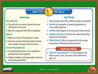 Section 1:  The Cell Cycle (1)23