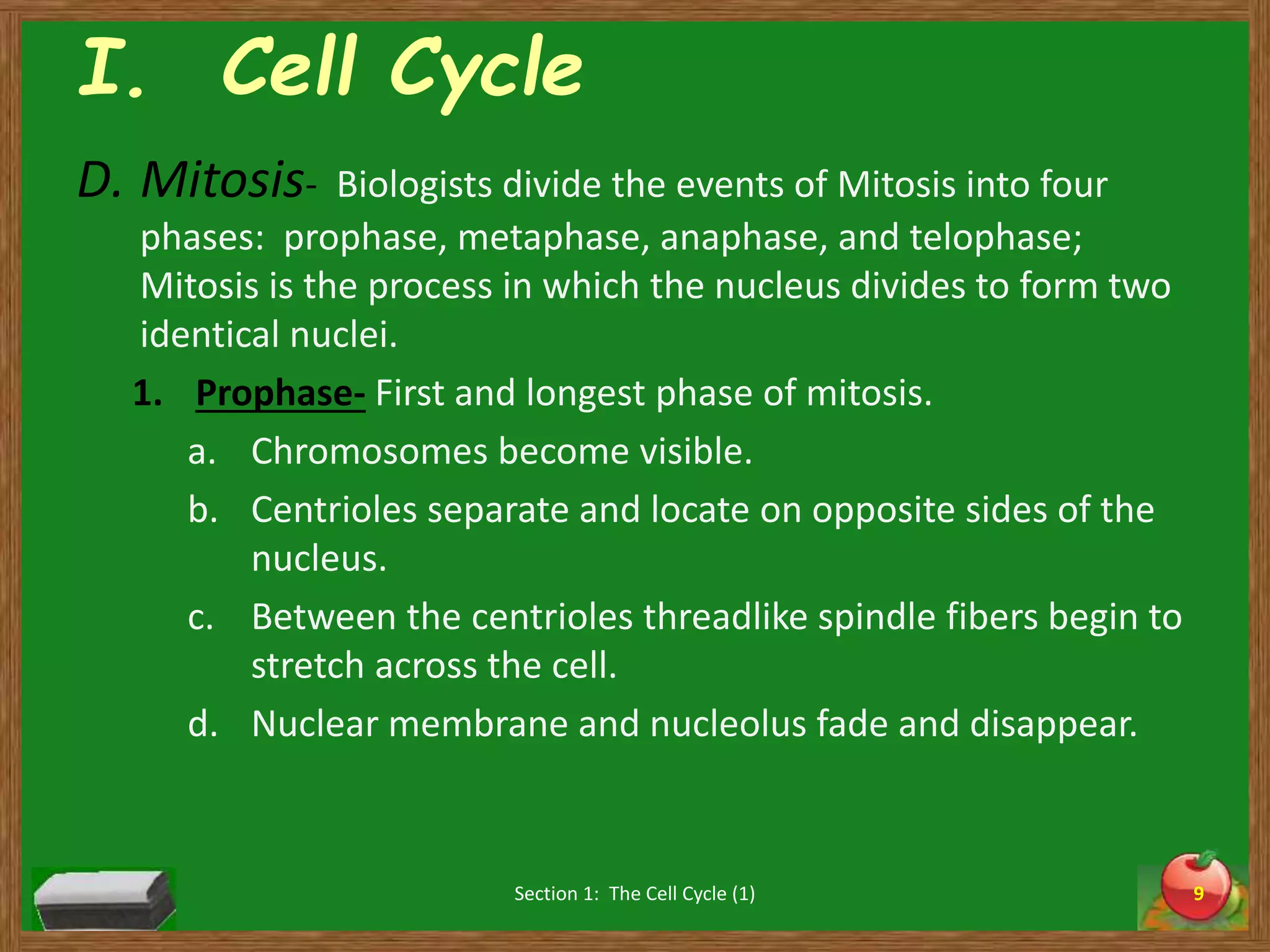 Chapter 4 section 1 (cell divsion and mitosis) | PPT
