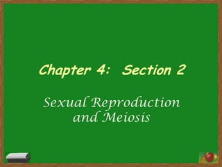 Chapter 4:  Section 2 Sexual Reproduction and Meiosis 
