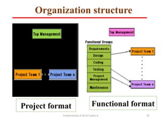 Fundamentals of SE by Gadisa A. 30
Organization structure
Project format Functional format
 