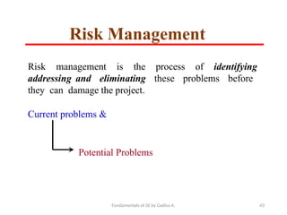Fundamentals of SE by Gadisa A. 43
Risk management is the process of identifying
addressing and eliminating these problems before
they can damage the project.
Current problems &
Potential Problems
Risk Management
 