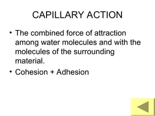 Chapter 4 Structure and Properties of Water.ppt