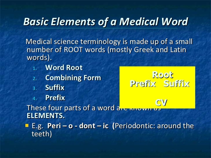 chapter 4 terminology the combining form meaning spinal cord is