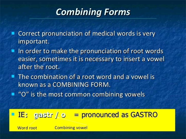 chapter 4 terminology the combining form meaning spinal cord is