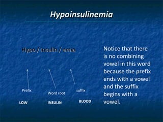 Hypoinsulinemia

Hypo / insulin / emia

Prefix
LOW

Word root
INSULIN

suffix
BLOOD

Notice that there
is no combining
vowel in this word
because the prefix
ends with a vowel
and the suffix
begins with a
vowel.

 