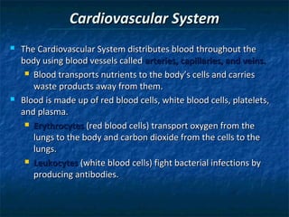 Cardiovascular System




The Cardiovascular System distributes blood throughout the
body using blood vessels called arteries, capillaries, and veins.
 Blood transports nutrients to the body’s cells and carries
waste products away from them.
Blood is made up of red blood cells, white blood cells, platelets,
and plasma.
 Erythrocytes (red blood cells) transport oxygen from the
lungs to the body and carbon dioxide from the cells to the
lungs.
 Leukocytes (white blood cells) fight bacterial infections by
producing antibodies.

 