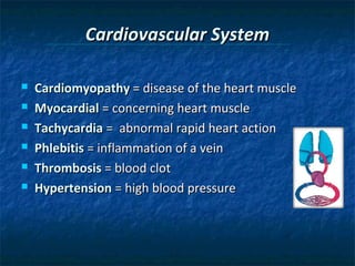 Cardiovascular System







Cardiomyopathy = disease of the heart muscle
Myocardial = concerning heart muscle
Tachycardia = abnormal rapid heart action
Phlebitis = inflammation of a vein
Thrombosis = blood clot
Hypertension = high blood pressure

 