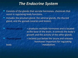 The Endocrine System




Consists of the glands that secrete hormones, chemicals that
assist in regulating body functions.
Includes the pituitary gland, the adrenal glands, the thyroid
gland, and the gonads (ovaries and testes).



Pituitary gland



Thyroid gland
body

= produces multiple hormones and is located
at the base of the brain. It controls the body’s
growth and the activity of the other glands.
= located just below the larynx and releases
hormones important for regulating
metabolism.

 