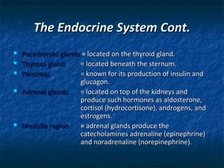 The Endocrine System Cont.








Parathyroid glands = located on the thyroid gland.
Thymus gland
= located beneath the sternum.
Pancreas
= known for its production of insulin and
glucagon.
Adrenal glands
= located on top of the kidneys and
produce such hormones as aldosterone,
cortisol (hydrocortisone), androgens, and
estrogens.
Medulla region
= adrenal glands produce the
catecholamines adrenaline (epinephrine)
and noradrenaline (norepinephrine).

 