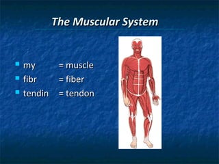 The Muscular System





my
= muscle
fibr
= fiber
tendin = tendon

 