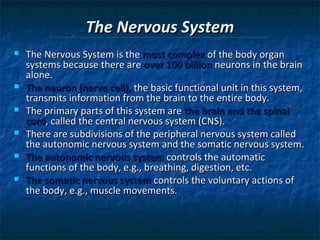 The Nervous System








The Nervous System is the most complex of the body organ
systems because there are over 100 billion neurons in the brain
alone.
The neuron (nerve cell), the basic functional unit in this system,
transmits information from the brain to the entire body.
The primary parts of this system are the brain and the spinal
cord, called the central nervous system (CNS).
There are subdivisions of the peripheral nervous system called
the autonomic nervous system and the somatic nervous system.
The autonomic nervous system controls the automatic
functions of the body, e.g., breathing, digestion, etc.
The somatic nervous system controls the voluntary actions of
the body, e.g., muscle movements.

 