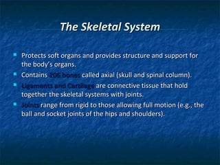 The Skeletal System







Protects soft organs and provides structure and support for
the body’s organs.
Contains 206 bones called axial (skull and spinal column).
Ligaments and Cartilage are connective tissue that hold
together the skeletal systems with joints.
Joints range from rigid to those allowing full motion (e.g., the
ball and socket joints of the hips and shoulders).

 