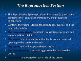 The Reproductive System













The Reproductive System produces hormones (e.g. estrogen,
progesterone), controls menstruation, and provides for
childbearing.
Contains the vagina, uterus, fallopian tubes, ovaries, and the
external genitalia.
The mammary glands (located in breast tissue) produce and
secrete milk at childbirth.
The vagina is a muscular tube that leads from an external
opening to the cervix and uterus.
The uterus is a hollow, pear-shaped organ.
The fallopian tubes transport eggs from the ovary to the
uterus.
The ovaries are located on each side of the uterus.

 