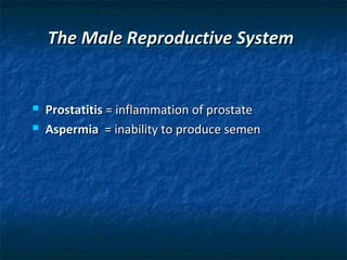 The Male Reproductive System




Prostatitis = inflammation of prostate
Aspermia = inability to produce semen

 