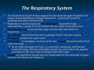 The Respiratory System










The Respiratory System brings oxygen into the body through inhalation and
expels carbon dioxide gas through exhalation. It produces sound for
speaking and helps cool the body.
Respiratory muscles (especially the diaphragm) expand the lungs
automatically, causing air to be inhaled into the upper respiratory tract.
The pleural cavity surrounds the lungs and provides lubrication for
respiration.
The pharynx directs food into the esophagus and air into the trachea.
The larynx contains the vocal cords.
The trachea, or windpipe, connects to the two bronchi (bronchial tubes) that
enter the lungs.
 As air enters through the nose, it is warmed, moistened, and filtered.
Inside the lungs, the bronchial tubes branch out and lead to the alveolar
sacs that are the site of gas exchange within the lungs.
Alveoli are specialized tissues that are responsible for the exchange of gases
between the blood and inhaled air.

 