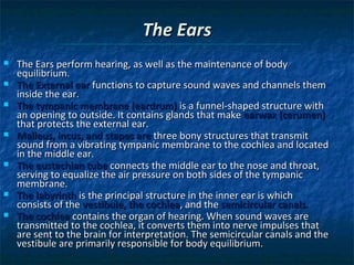 The Ears











The Ears perform hearing, as well as the maintenance of body
equilibrium.
The External ear functions to capture sound waves and channels them
inside the ear.
The tympanic membrane (eardrum) is a funnel-shaped structure with
an opening to outside. It contains glands that make earwax (cerumen)
that protects the external ear.
Malleus, incus, and stapes are three bony structures that transmit
sound from a vibrating tympanic membrane to the cochlea and located
in the middle ear.
The eustachian tube connects the middle ear to the nose and throat,
serving to equalize the air pressure on both sides of the tympanic
membrane.
The labyrinth is the principal structure in the inner ear is which
consists of the vestibule, the cochlea, and the semicircular canals.
The cochlea contains the organ of hearing. When sound waves are
transmitted to the cochlea, it converts them into nerve impulses that
are sent to the brain for interpretation. The semicircular canals and the
vestibule are primarily responsible for body equilibrium.

 