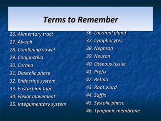 Terms to Remember
26. Alimentary tract
27. Alveoli
28. Combining vowel
29. Conjunctiva
30. Cornea
31. Diastolic phase
32. Endocrine system
33. Eustachian tube
34. Flexor movement
35. Integumentary system

36. Lacrimal gland
37. Lymphocytes
38. Nephron
39. Neuron
40. Osseous tissue
41. Prefix
42. Retina
43. Root word
44. Suffix
45. Systolic phase
46. Tympanic membrane

 