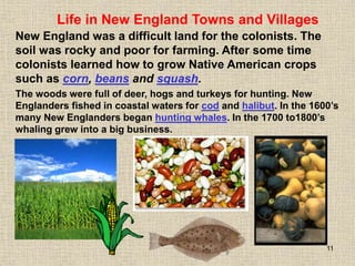 11
The woods were full of deer, hogs and turkeys for hunting. New
Englanders fished in coastal waters for cod and halibut. In the 1600’s
many New Englanders began hunting whales. In the 1700 to1800’s
whaling grew into a big business.
Life in New England Towns and Villages
New England was a difficult land for the colonists. The
soil was rocky and poor for farming. After some time
colonists learned how to grow Native American crops
such as corn, beans and squash.
 