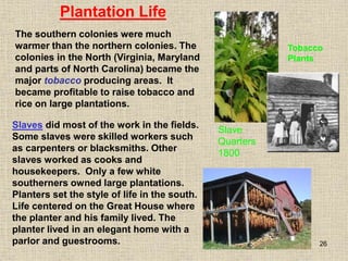 26
The southern colonies were much
warmer than the northern colonies. The
colonies in the North (Virginia, Maryland
and parts of North Carolina) became the
major tobacco producing areas. It
became profitable to raise tobacco and
rice on large plantations.
Slave
Quarters
1800
Tobacco
Plants
Plantation Life
Slaves did most of the work in the fields.
Some slaves were skilled workers such
as carpenters or blacksmiths. Other
slaves worked as cooks and
housekeepers. Only a few white
southerners owned large plantations.
Planters set the style of life in the south.
Life centered on the Great House where
the planter and his family lived. The
planter lived in an elegant home with a
parlor and guestrooms.
 
