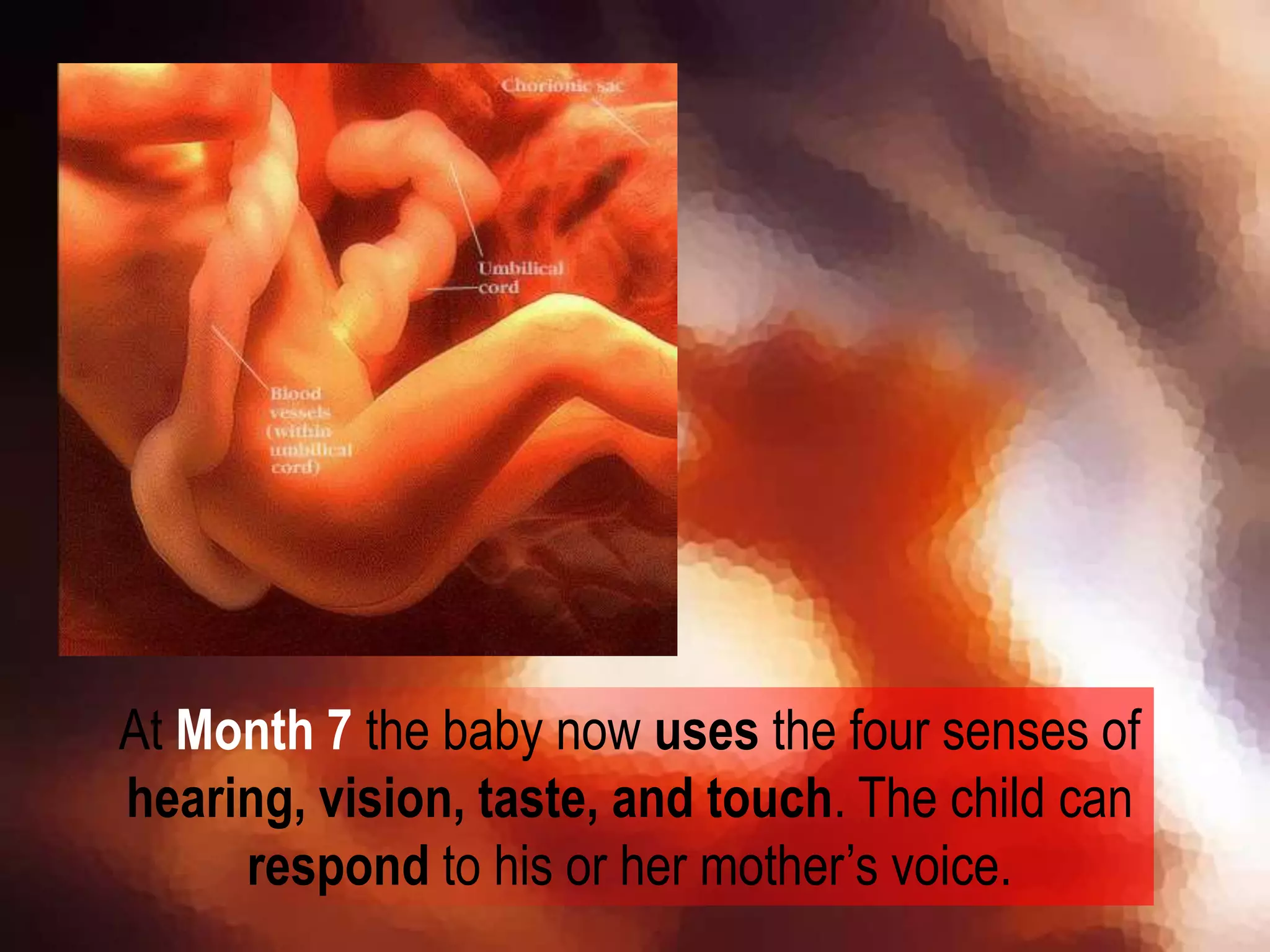 At Month 7 the baby now uses the four senses of
hearing, vision, taste, and touch. The child can
respond to his or her mother’s voice.
 