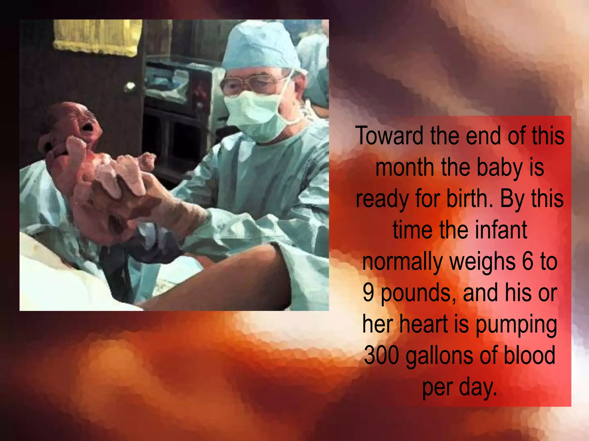 Toward the end of this
month the baby is
ready for birth. By this
time the infant
normally weighs 6 to
9 pounds, and his or
her heart is pumping
300 gallons of blood
per day.
 