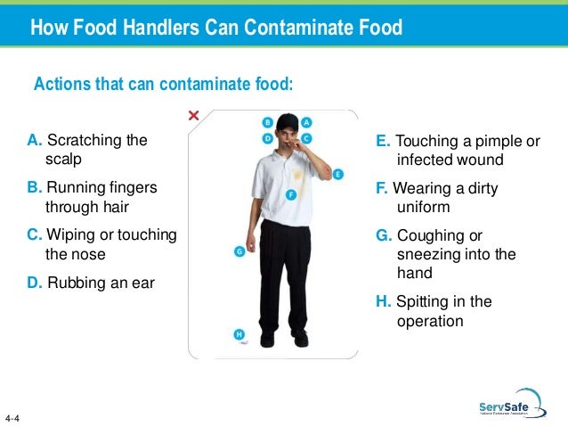 How Food Handlers Can Contaminate Food How Food Handlers Can Contaminate Food