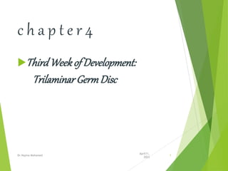 c h a p t e r 4
ThirdWeek of Development:
Trilaminar GermDisc
April11,
2023
Dr.Najma Mohamed 1
 