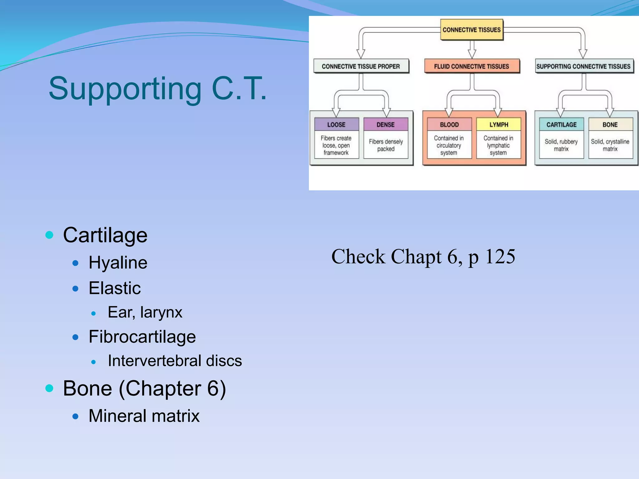 Supporting C.T.



 Cartilage
   Hyaline                    Check Chapt 6, p 125
   Elastic
       Ear, larynx
   Fibrocartilage
       Intervertebral discs
 Bone (Chapter 6)
   Mineral matrix
 