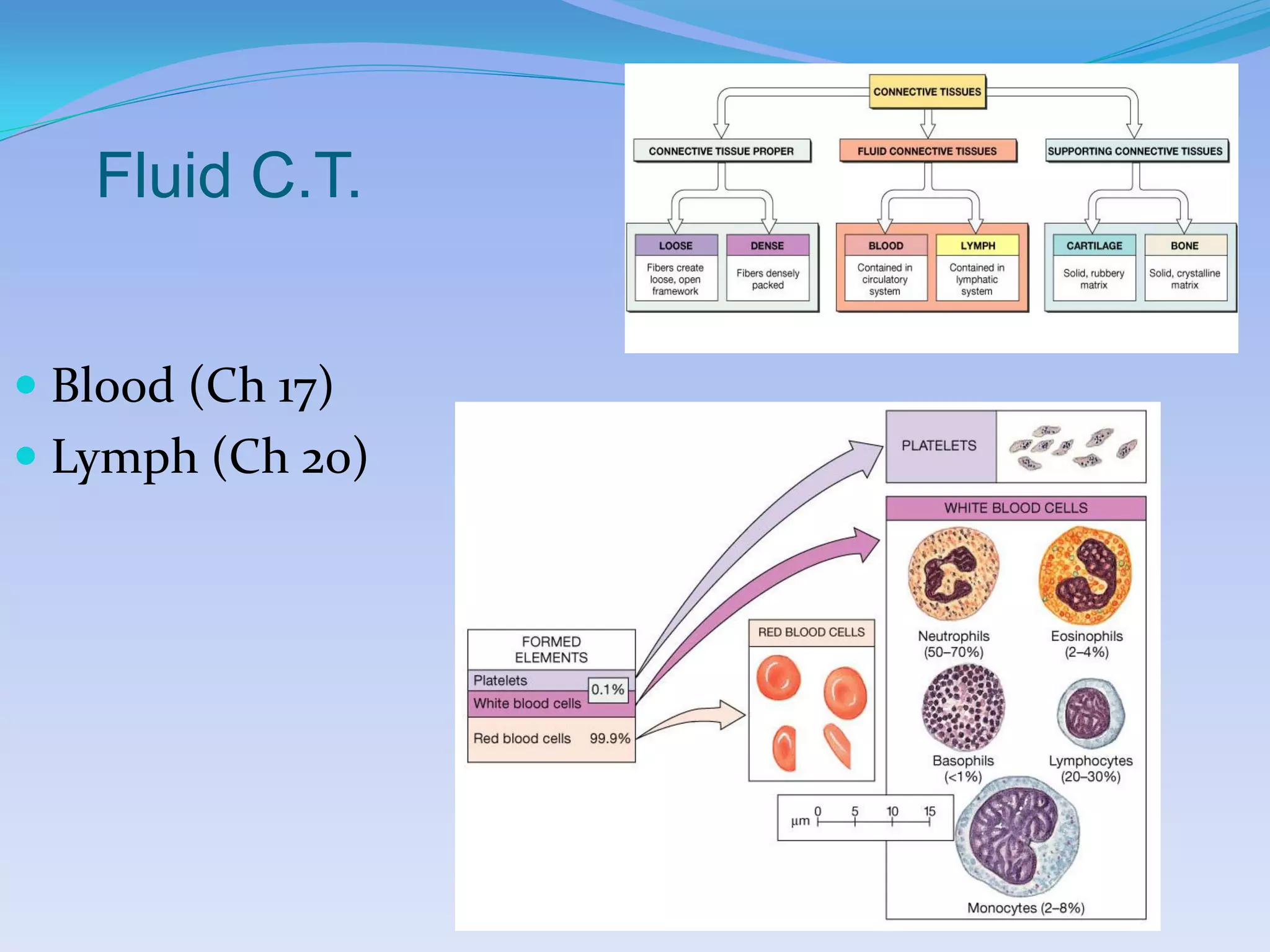 Fluid C.T.


 Blood (Ch 17)
 Lymph (Ch 20)
 