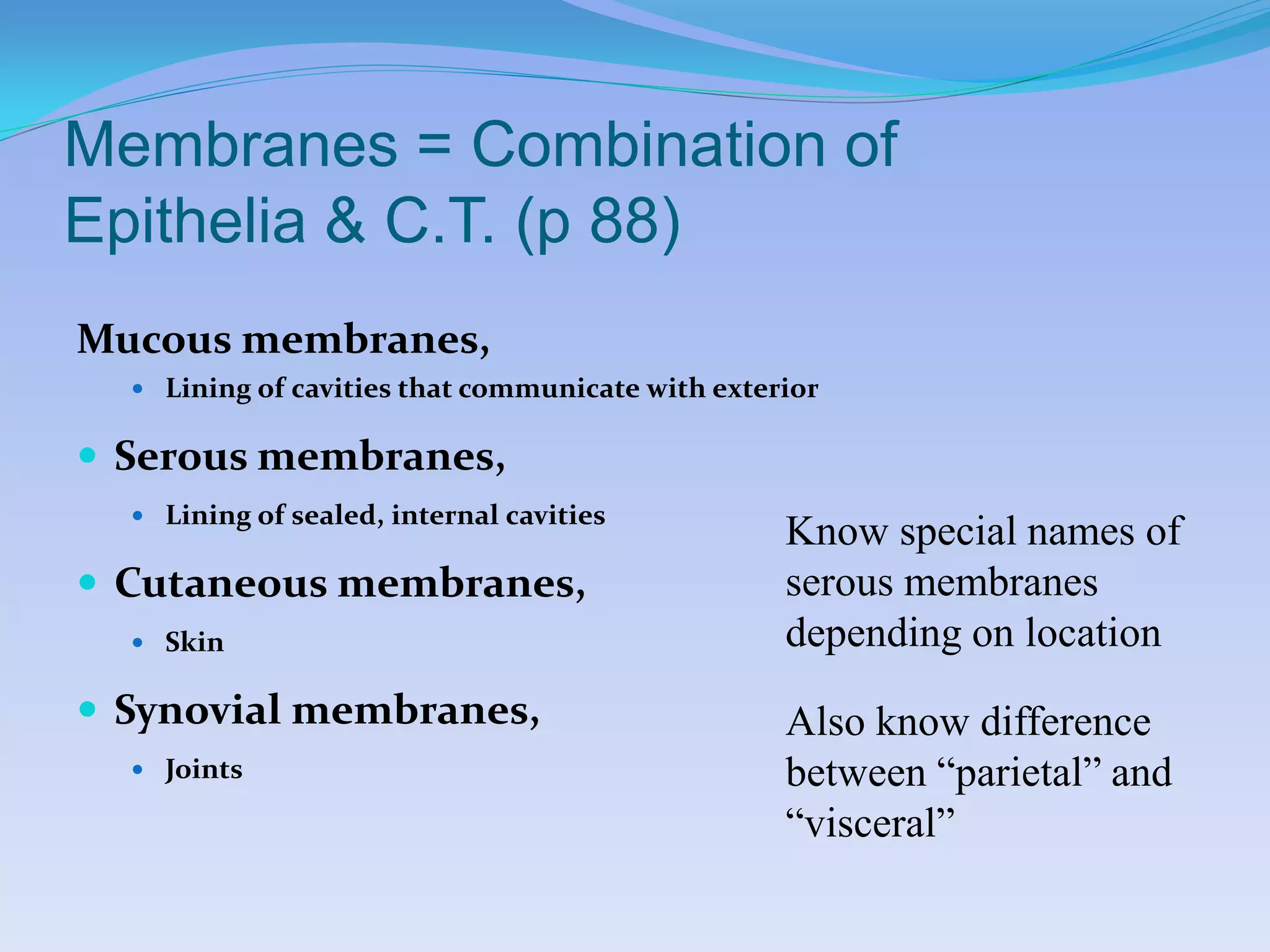 Membranes = Combination of
Epithelia & C.T. (p 88)
Mucous membranes,
   Lining of cavities that communicate with exterior


 Serous membranes,
   Lining of sealed, internal cavities
                                                  Know special names of
 Cutaneous membranes,                            serous membranes
   Skin                                          depending on location
 Synovial membranes,                             Also know difference
   Joints                                        between “parietal” and
                                                  “visceral”
 