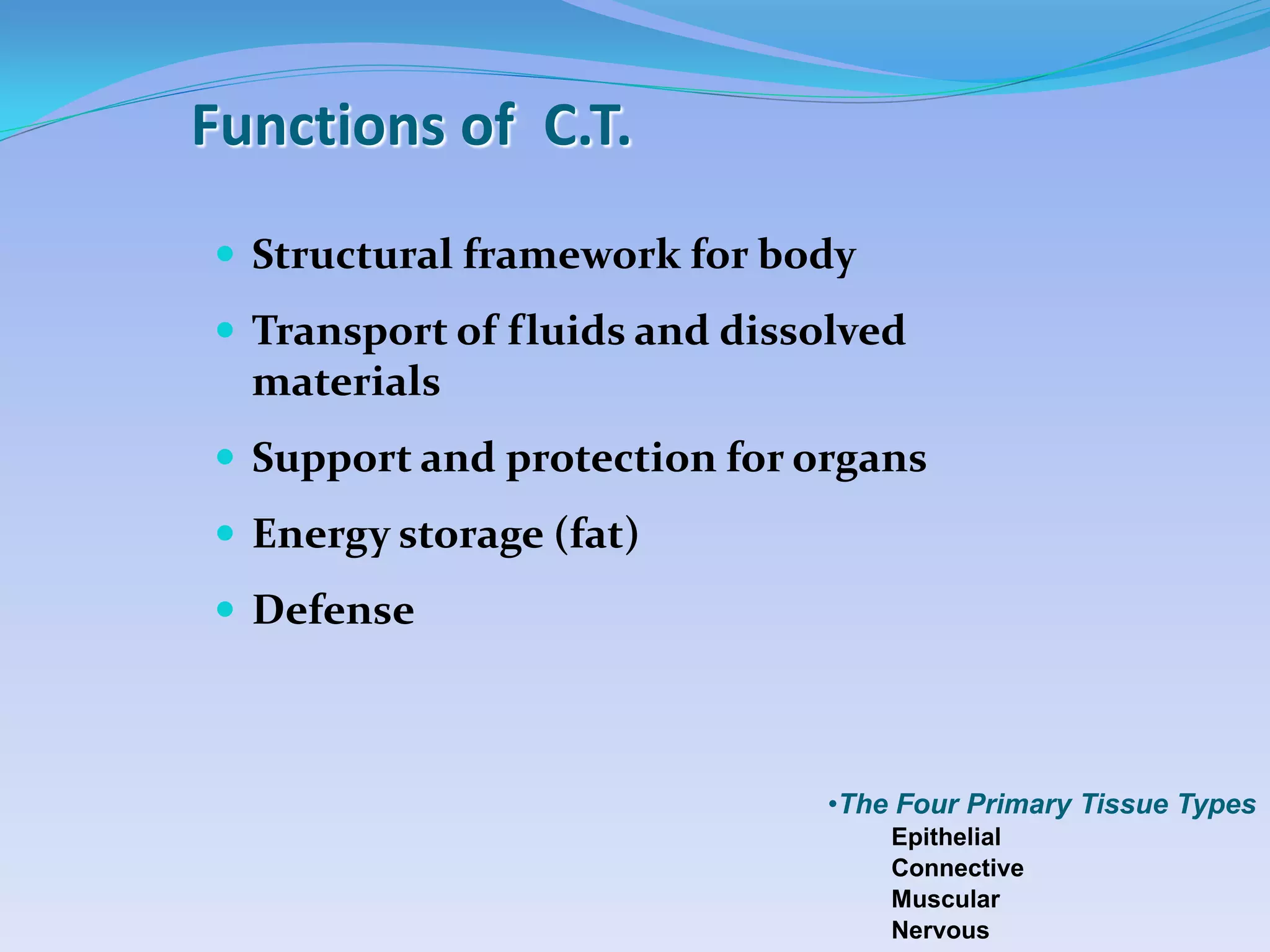 Functions of C.T.
 Structural framework for body
 Transport of fluids and dissolved
  materials
 Support and protection for organs
 Energy storage (fat)
 Defense



                               •The Four Primary Tissue Types
                                   Epithelial
                                   Connective
                                   Muscular
                                   Nervous
 