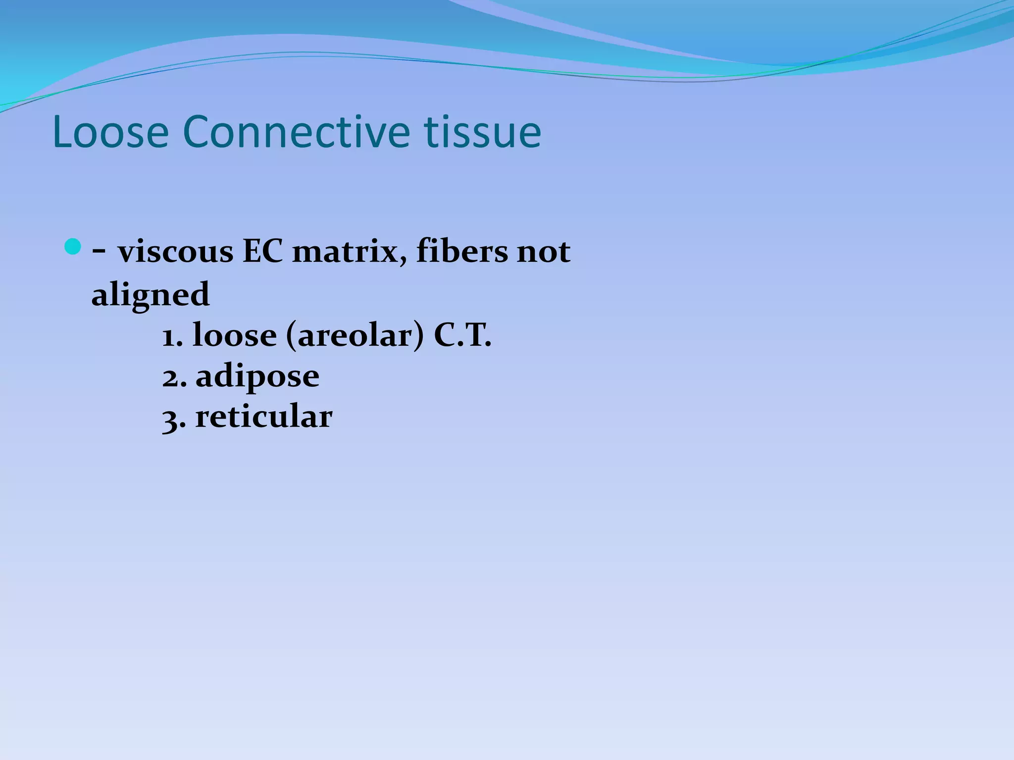 Loose Connective tissue

 - viscous EC matrix, fibers not
 aligned
      1. loose (areolar) C.T.
      2. adipose
      3. reticular
 