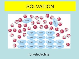 SOLVATION 
non-electrolyte 
 