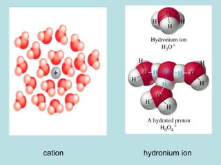 cation hydronium ion 
 
