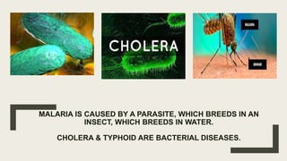 MALARIA IS CAUSED BY A PARASITE, WHICH BREEDS IN AN
INSECT, WHICH BREEDS IN WATER.
CHOLERA & TYPHOID ARE BACTERIAL DISEASES.
 
