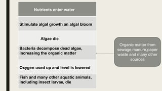 Nutrients enter water
Stimulate algal growth an algal bloom
Algae die
Bacteria decompose dead algae,
increasing the organic matter
Oxygen used up and level is lowered
Fish and many other aquatic animals,
including insect larvae, die
Organic matter from
sewage,manure,paper
waste and many other
sources
 