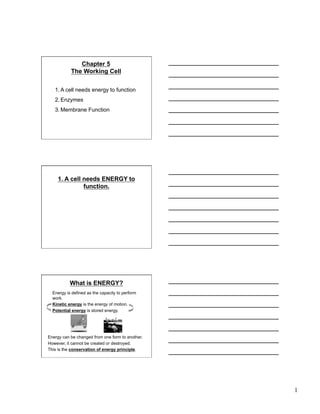 Chapter 5
           The Working Cell

   1. A cell needs energy to function
   2. Enzymes
   3. Membrane Function




    1. A cell needs ENERGY to
              function.




           What is ENERGY?
  Energy is defined as the capacity to perform
  work.
  Kinetic energy is the energy of motion.
  Potential energy is stored energy.




Energy can be changed from one form to another.
However, it cannot be created or destroyed.
This is the conservation of energy principle.




                                                  1
 