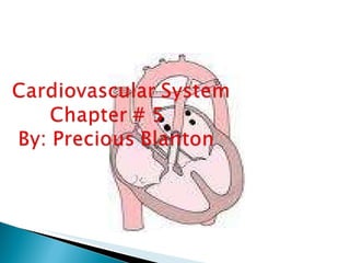      Cardiovascular SystemChapter # 5     By: Precious Blanton 