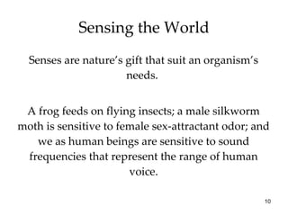 Sensing the World Senses are nature’s gift that suit an organism’s needs.  A frog feeds on flying insects; a male silkworm moth is sensitive to female sex-attractant odor; and we as human beings are sensitive to sound frequencies that represent the range of human voice. 