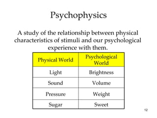 Psychophysics A study of the relationship between physical characteristics of stimuli and our psychological experience with them. Weight Pressure Sweet Sugar Volume Sound Brightness Light Psychological World Physical World 