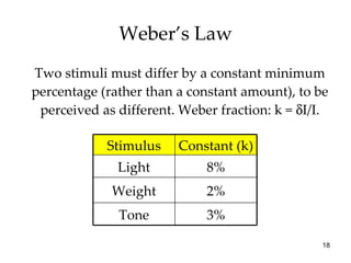 Weber’s Law Two stimuli must differ by a constant minimum percentage (rather than a constant amount), to be perceived as different. Weber fraction: k =   I/I. Constant (k) Stimulus 3% Tone 2% Weight 8% Light 