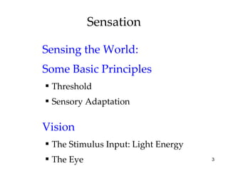 Sensation Sensing the World: Some Basic Principles Threshold Sensory Adaptation Vision The Stimulus Input: Light Energy The Eye 