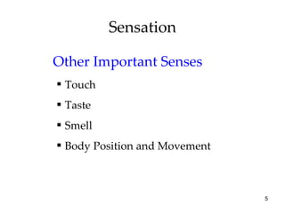 Sensation Other Important Senses Touch Taste Smell Body Position and Movement 