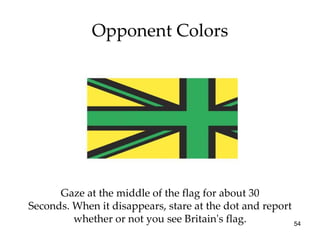 Opponent Colors Gaze at the middle of the flag for about 30 Seconds. When it disappears, stare at the dot and report whether or not you see Britain's flag. 