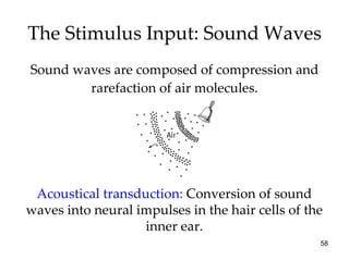 The Stimulus Input: Sound Waves Sound waves are composed of compression and rarefaction of air molecules. Acoustical transduction:  Conversion of sound waves into neural impulses in the hair cells of the inner ear. 