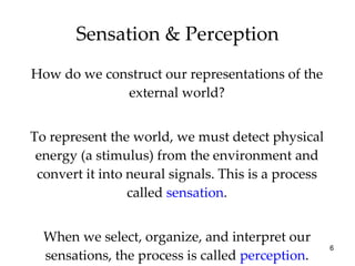 Sensation & Perception How do we construct our representations of the external world? To represent the world, we must detect physical energy (a stimulus) from the environment and convert it into neural signals. This is a process called  sensation . When we select, organize, and interpret our sensations, the process is called  perception . 