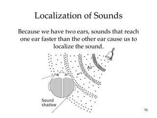 Localization of Sounds Because we have two ears, sounds that reach one ear faster than the other ear cause us to localize the sound. 