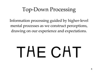 Top-Down Processing Information processing guided by higher-level mental processes as we construct perceptions, drawing on our experience and expectations. T H E C H T 