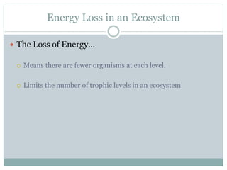 Energy Loss in an EcosystemThe Loss of Energy…Means there are fewer organisms at each level.Limits the number of trophic levels in an ecosystem